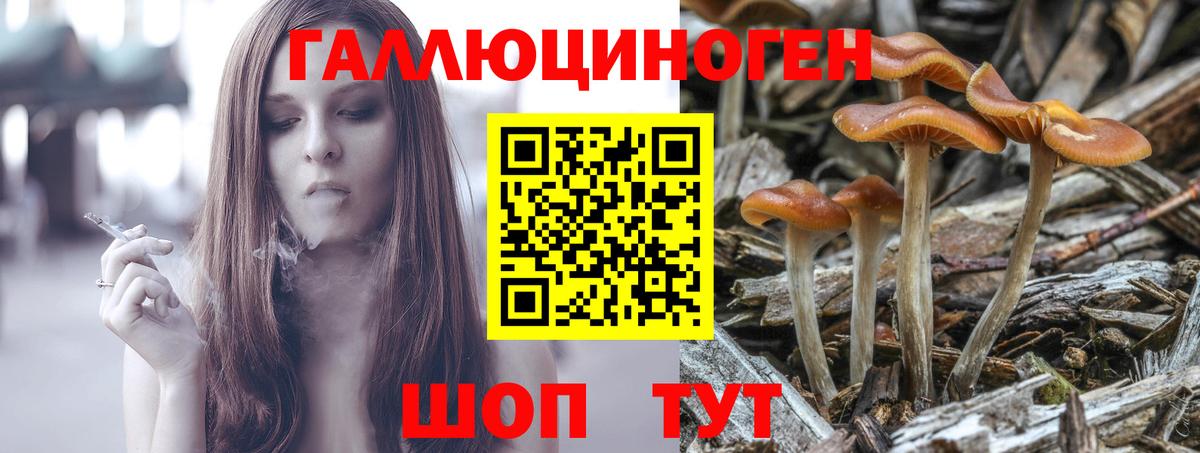 Галлюциногенные грибы мицелий  Галлюциногенные грибы Psilocybe  Соль-Илецк  Вход с VPN 
